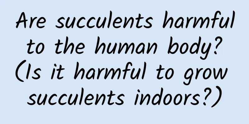Are succulents harmful to the human body? (Is it harmful to grow succulents indoors?)