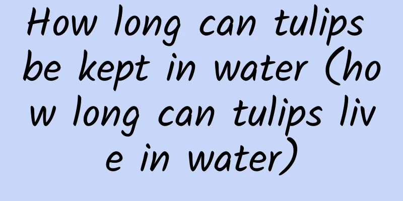 How long can tulips be kept in water (how long can tulips live in water)