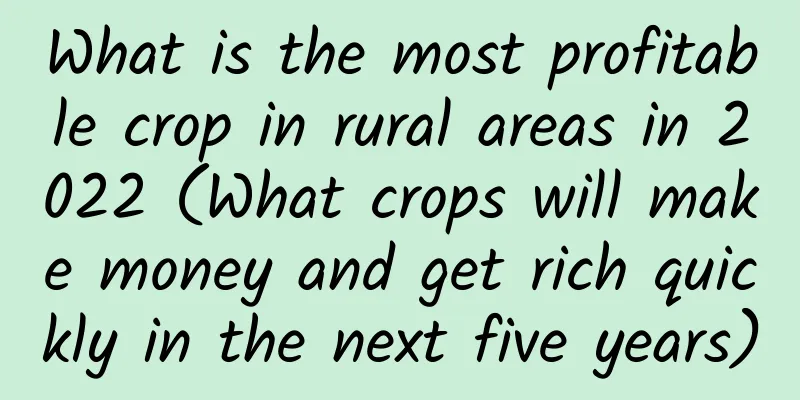 What is the most profitable crop in rural areas in 2022 (What crops will make money and get rich quickly in the next five years)