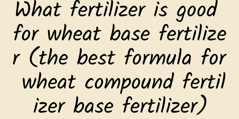 What fertilizer is good for wheat base fertilizer (the best formula for wheat compound fertilizer base fertilizer)