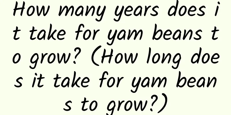 How many years does it take for yam beans to grow? (How long does it take for yam beans to grow?)