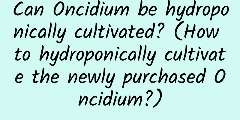 Can Oncidium be hydroponically cultivated? (How to hydroponically cultivate the newly purchased Oncidium?)