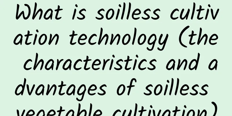 What is soilless cultivation technology (the characteristics and advantages of soilless vegetable cultivation)
