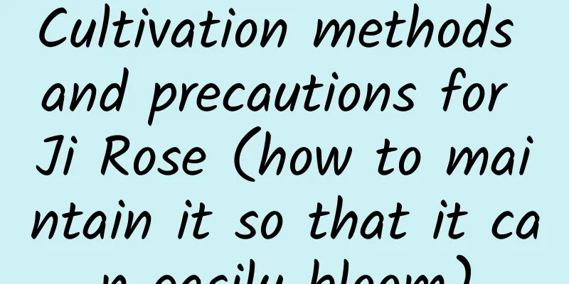 Cultivation methods and precautions for Ji Rose (how to maintain it so that it can easily bloom)