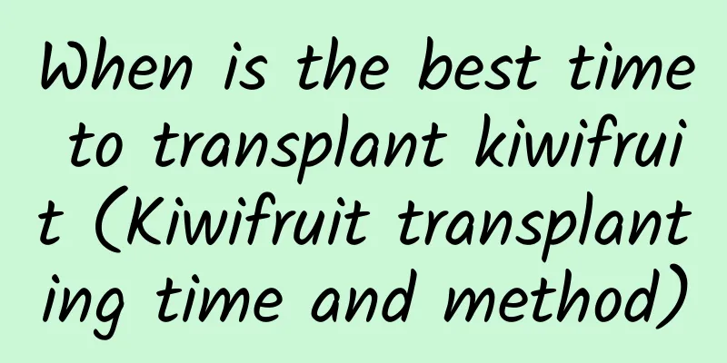 When is the best time to transplant kiwifruit (Kiwifruit transplanting time and method)