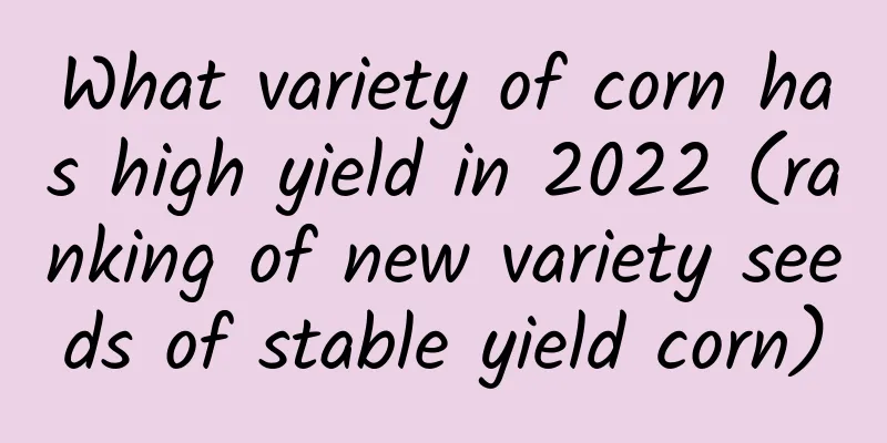What variety of corn has high yield in 2022 (ranking of new variety seeds of stable yield corn)