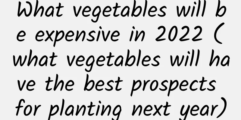 What vegetables will be expensive in 2022 (what vegetables will have the best prospects for planting next year)