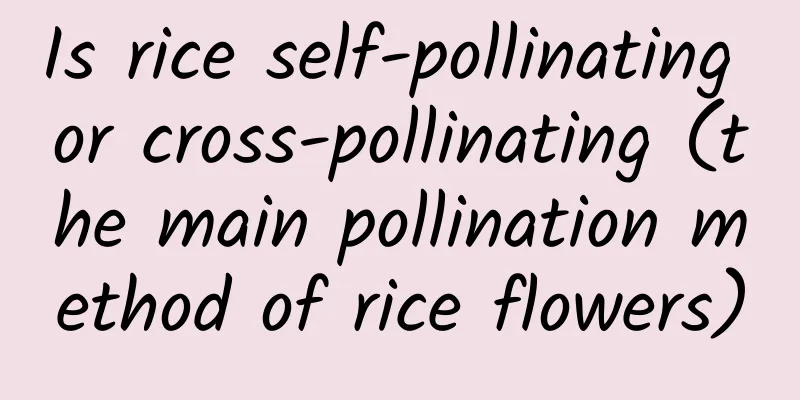 Is rice self-pollinating or cross-pollinating (the main pollination method of rice flowers)