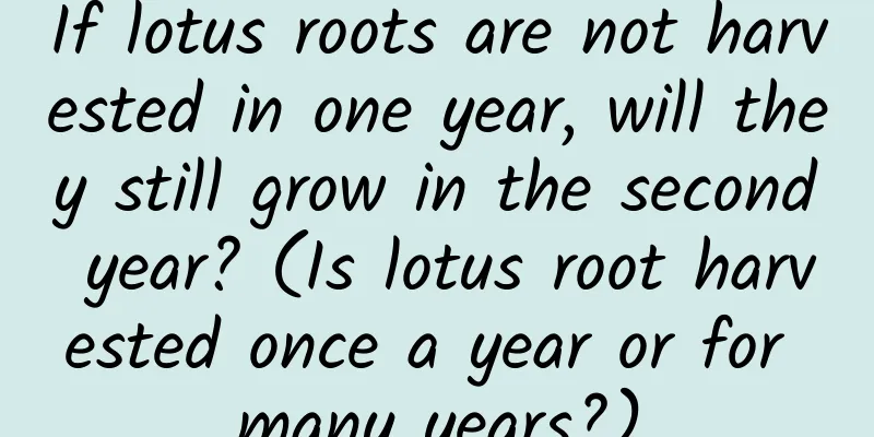 If lotus roots are not harvested in one year, will they still grow in the second year? (Is lotus root harvested once a year or for many years?)
