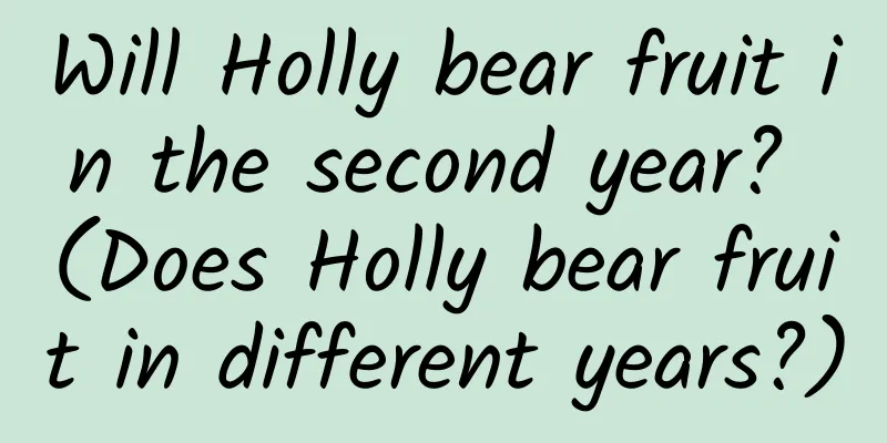 Will Holly bear fruit in the second year? (Does Holly bear fruit in different years?)