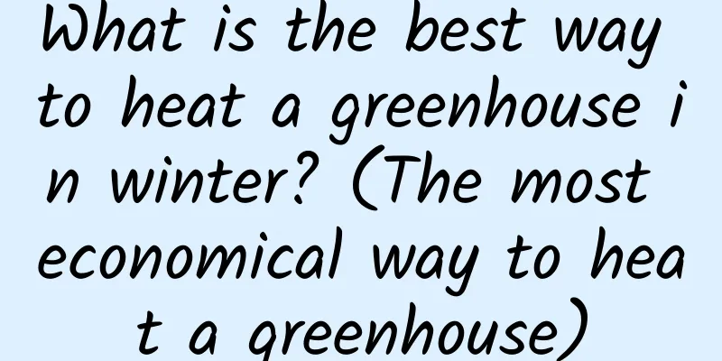 What is the best way to heat a greenhouse in winter? (The most economical way to heat a greenhouse)