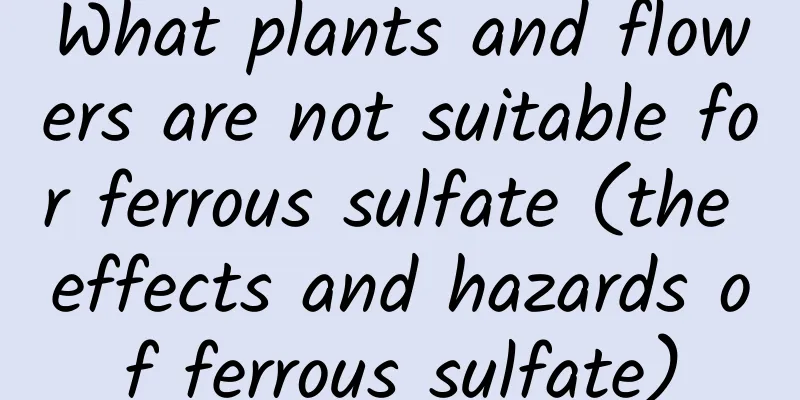 What plants and flowers are not suitable for ferrous sulfate (the effects and hazards of ferrous sulfate)