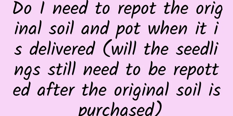 Do I need to repot the original soil and pot when it is delivered (will the seedlings still need to be repotted after the original soil is purchased)