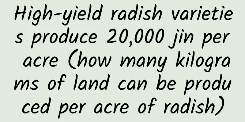 High-yield radish varieties produce 20,000 jin per acre (how many kilograms of land can be produced per acre of radish)