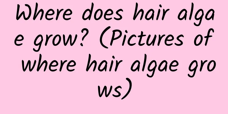 Where does hair algae grow? (Pictures of where hair algae grows)