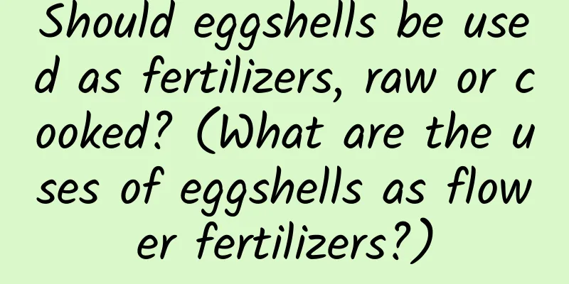 Should eggshells be used as fertilizers, raw or cooked? (What are the uses of eggshells as flower fertilizers?)