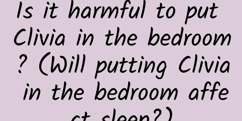 Is it harmful to put Clivia in the bedroom? (Will putting Clivia in the bedroom affect sleep?)