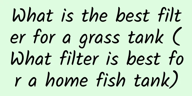 What is the best filter for a grass tank (What filter is best for a home fish tank)