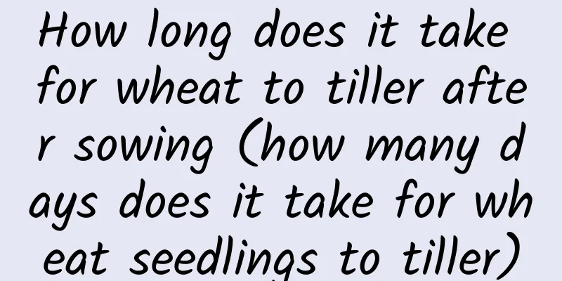 How long does it take for wheat to tiller after sowing (how many days does it take for wheat seedlings to tiller)