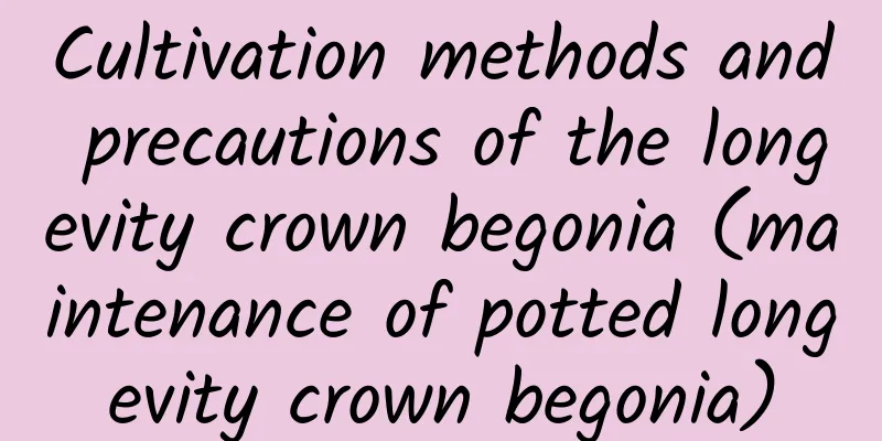 Cultivation methods and precautions of the longevity crown begonia (maintenance of potted longevity crown begonia)