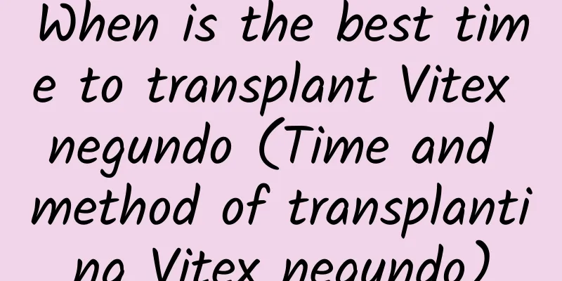 When is the best time to transplant Vitex negundo (Time and method of transplanting Vitex negundo)