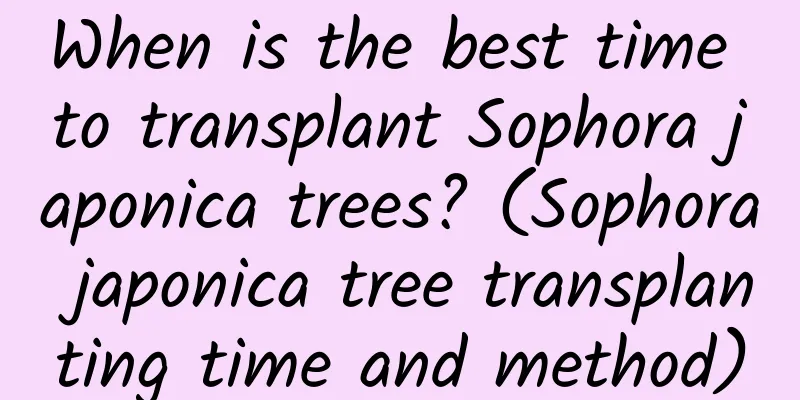 When is the best time to transplant Sophora japonica trees? (Sophora japonica tree transplanting time and method)