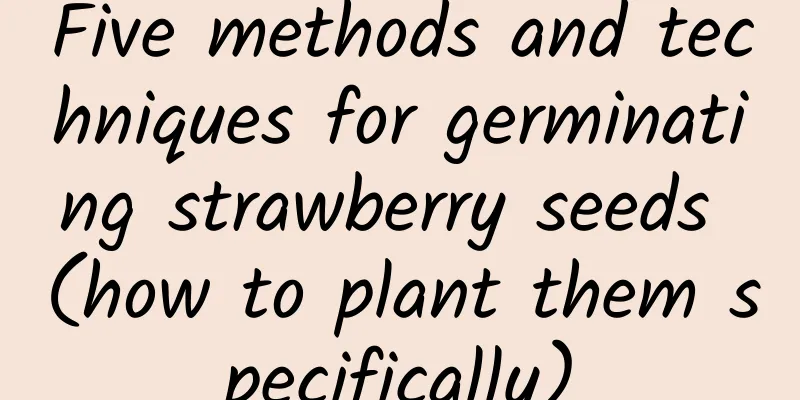 Five methods and techniques for germinating strawberry seeds (how to plant them specifically)