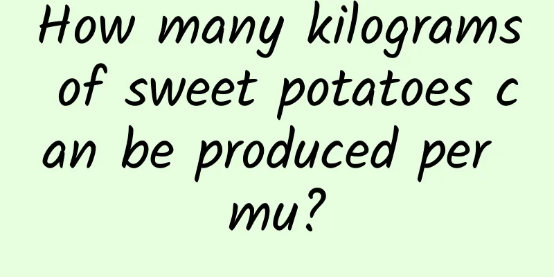 How many kilograms of sweet potatoes can be produced per mu?