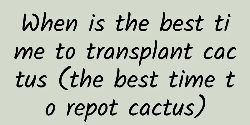 When is the best time to transplant cactus (the best time to repot cactus)