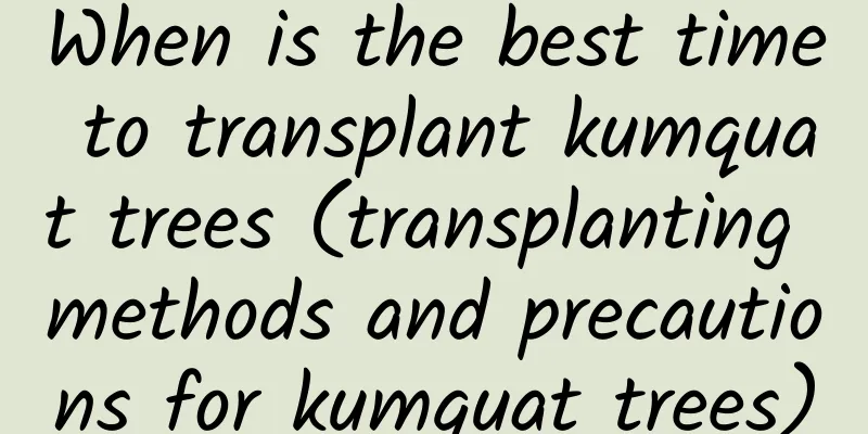 When is the best time to transplant kumquat trees (transplanting methods and precautions for kumquat trees)