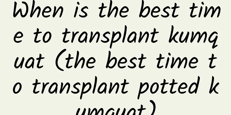When is the best time to transplant kumquat (the best time to transplant potted kumquat)
