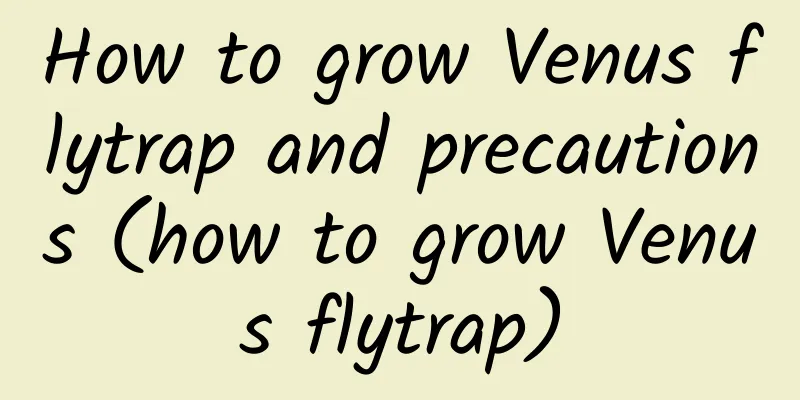 How to grow Venus flytrap and precautions (how to grow Venus flytrap)