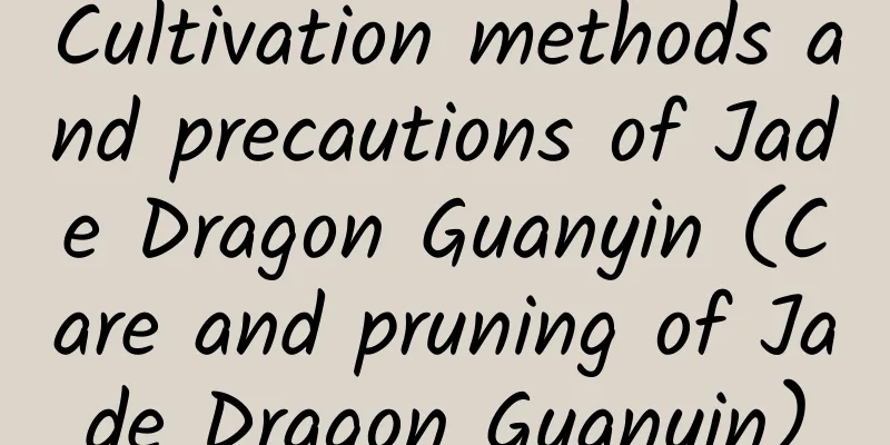 Cultivation methods and precautions of Jade Dragon Guanyin (Care and pruning of Jade Dragon Guanyin)