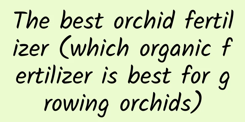 The best orchid fertilizer (which organic fertilizer is best for growing orchids)