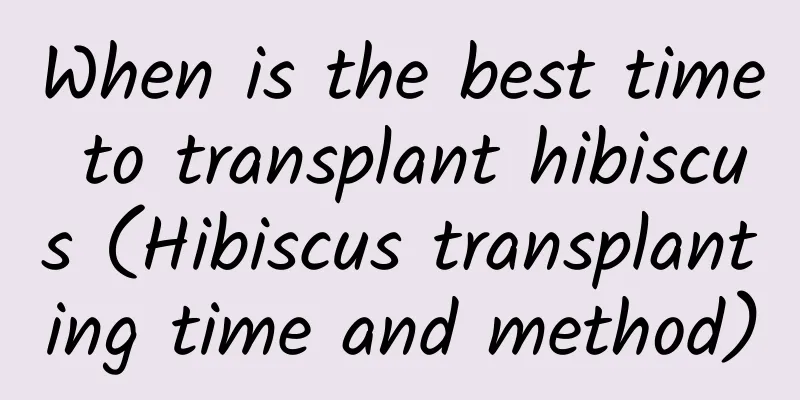 When is the best time to transplant hibiscus (Hibiscus transplanting time and method)