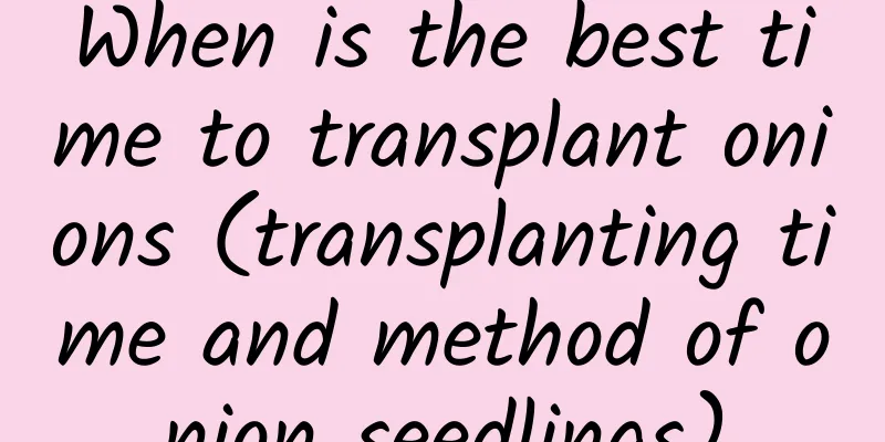 When is the best time to transplant onions (transplanting time and method of onion seedlings)