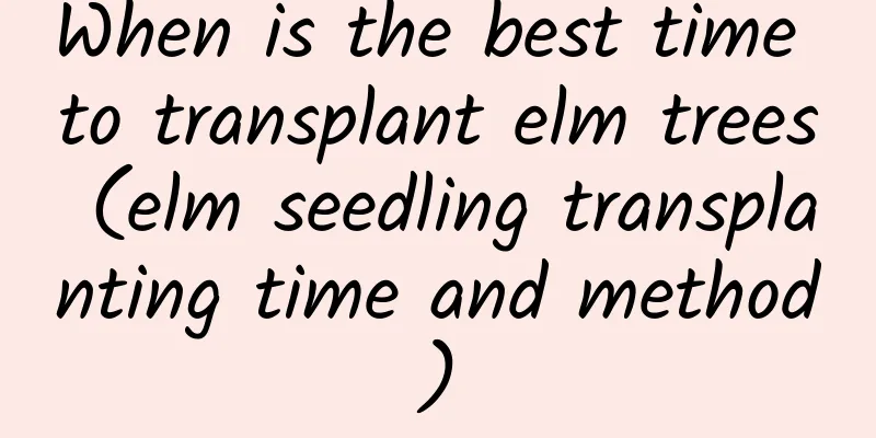 When is the best time to transplant elm trees (elm seedling transplanting time and method)