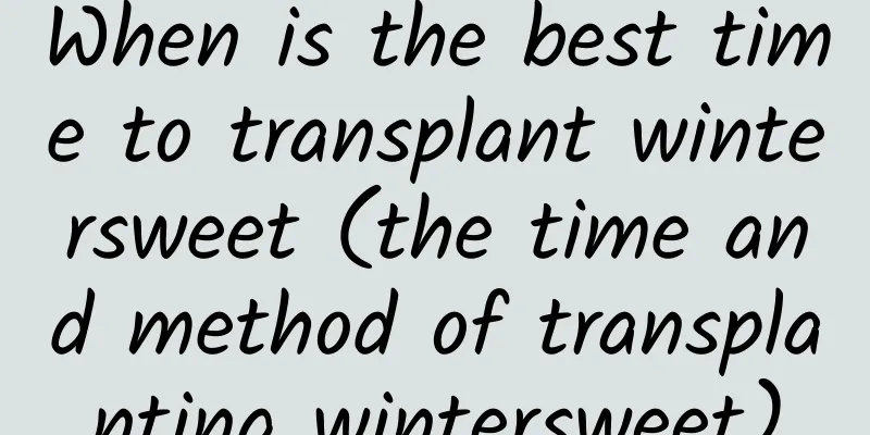 When is the best time to transplant wintersweet (the time and method of transplanting wintersweet)