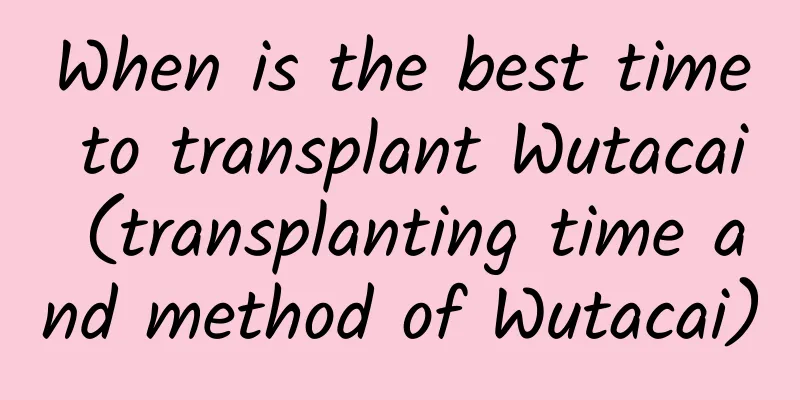 When is the best time to transplant Wutacai (transplanting time and method of Wutacai)