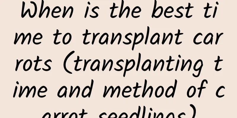 When is the best time to transplant carrots (transplanting time and method of carrot seedlings)