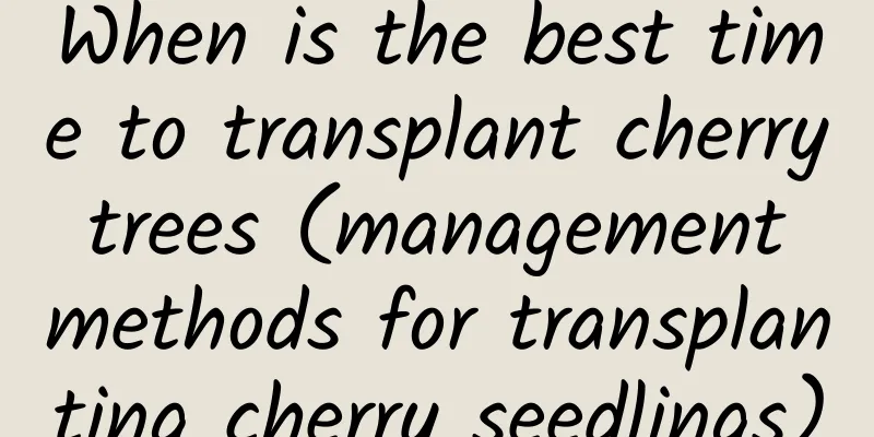 When is the best time to transplant cherry trees (management methods for transplanting cherry seedlings)