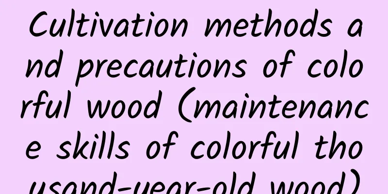 Cultivation methods and precautions of colorful wood (maintenance skills of colorful thousand-year-old wood)