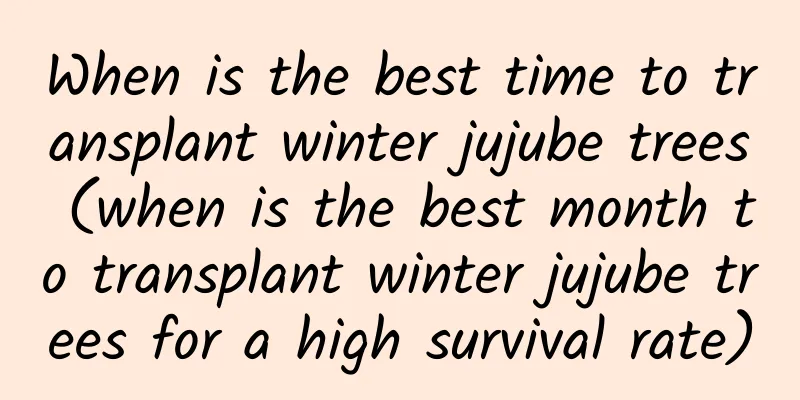When is the best time to transplant winter jujube trees (when is the best month to transplant winter jujube trees for a high survival rate)