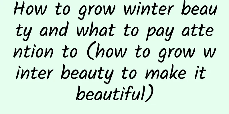 How to grow winter beauty and what to pay attention to (how to grow winter beauty to make it beautiful)