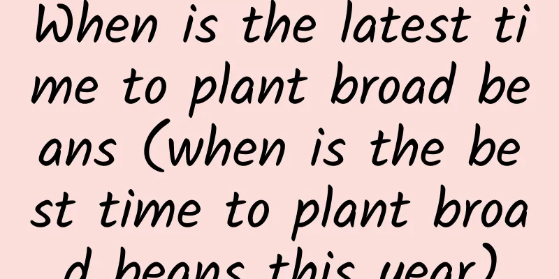 When is the latest time to plant broad beans (when is the best time to plant broad beans this year)