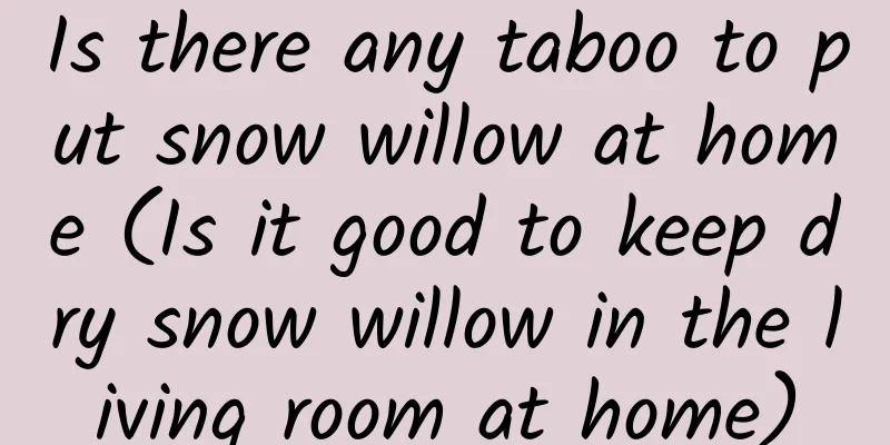 Is there any taboo to put snow willow at home (Is it good to keep dry snow willow in the living room at home)