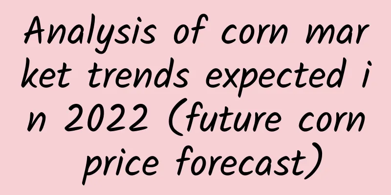 Analysis of corn market trends expected in 2022 (future corn price forecast)