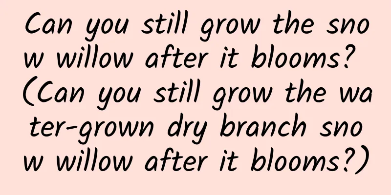 Can you still grow the snow willow after it blooms? (Can you still grow the water-grown dry branch snow willow after it blooms?)