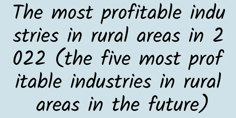 The most profitable industries in rural areas in 2022 (the five most profitable industries in rural areas in the future)