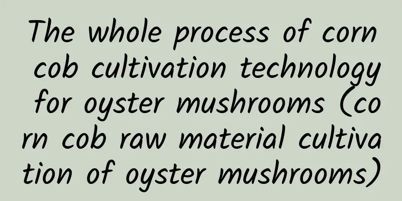 The whole process of corn cob cultivation technology for oyster mushrooms (corn cob raw material cultivation of oyster mushrooms)